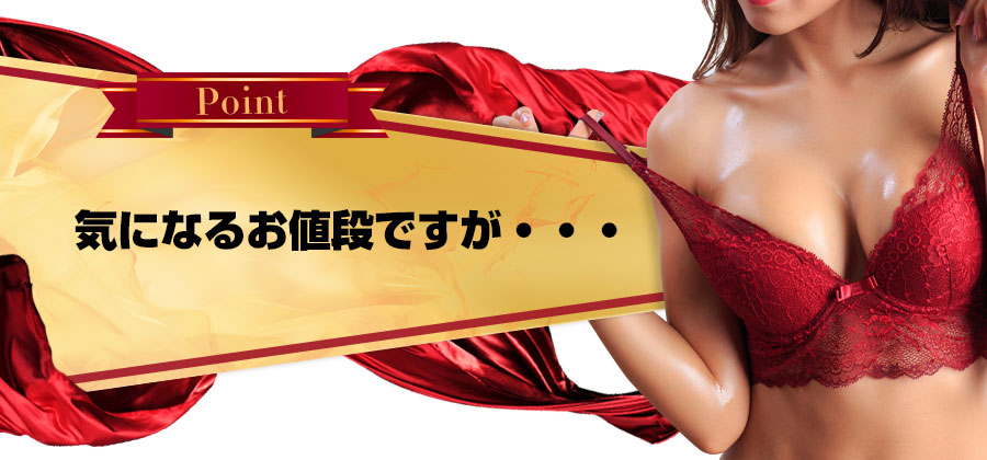 気になるお値段ですが・・・